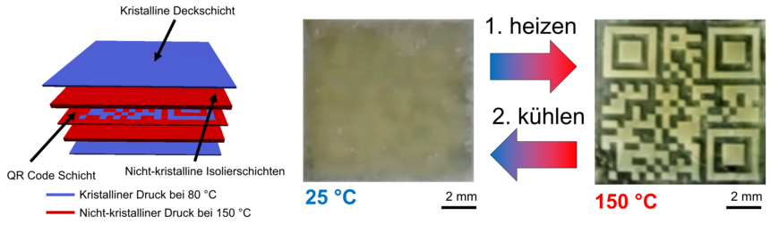 6dc80c600aa00fd6e7.webp