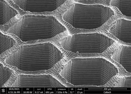 6dc8159cbd77161ef2.jpg