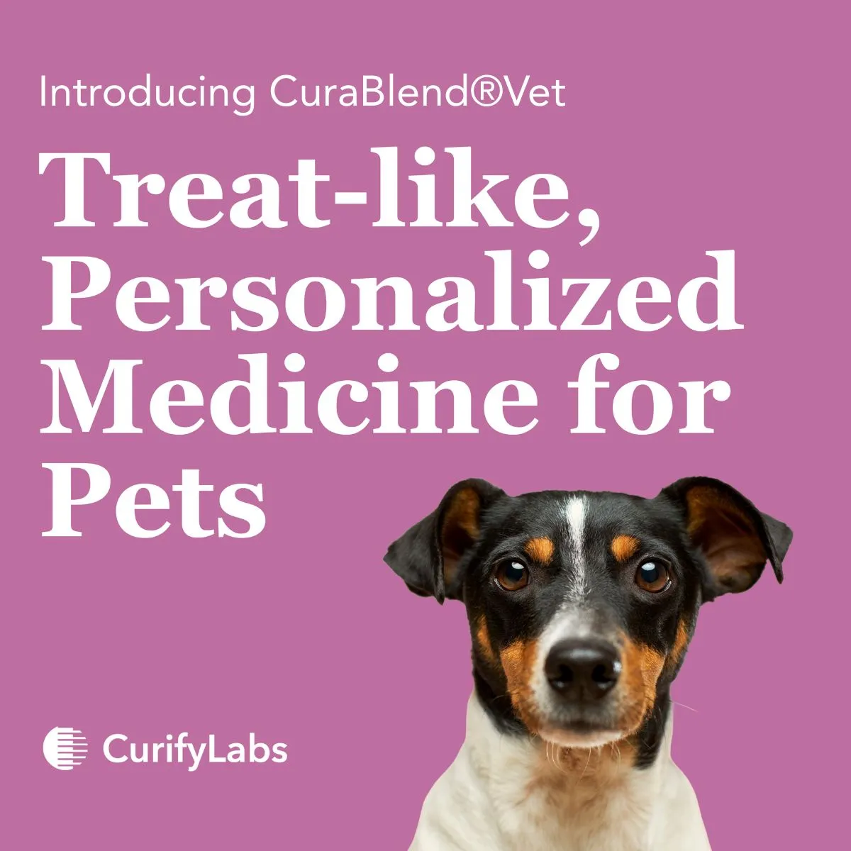 开发3D打印药物配制技术的公司CurifyLabs推出了CuraBlend Vet兽医辅料系统，该系统设计用于生产3D打印的适口性个性化宠物药物。CuraBlend Vet专为CurifyLabs药物配制系统解决方案（CSS）开发，旨在提升兽医药物配制的质量、安全性和一致性。