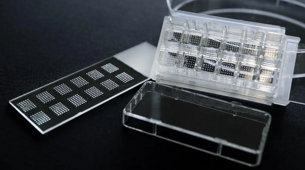 韩国制造商CARIMATEC在Formnext 2025展会上推出其基于DLP的生物打印系统，该系统使用冷冻干燥生物墨水胶囊将活细胞直接打印到载玻片上。
