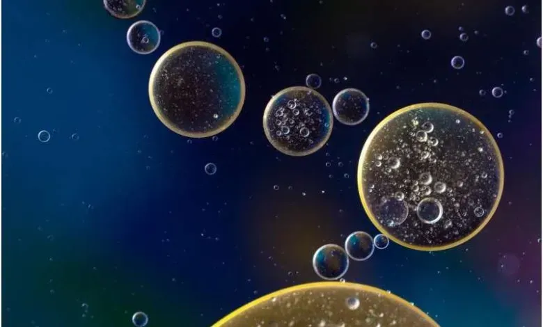利用生物相容性光刻胶与激光聚合技术，斯洛文尼亚团队在活细胞内实现微米级结构3D打印。细胞不仅保持存活与分裂能力，还可将内部打印的复杂结构遗传至子代，为细胞力学研究及功能调控提供了创新工具。