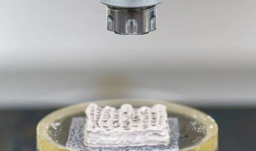 继而其衍生公司CompagOs正在率先开发3D生物打印体外骨骼模型(Bon3OID™)，用于早期疾病检测与研究。该模型以人类干细胞于生物墨水基质中构筑，并通过生物力学刺激培育成熟，可复现人体骨骼的关键细胞与结构特性。公司的核心目标是开发诊断工具(Bon3OID™-DX)，通过在其系统中分析患者血液样本，将骨转移癌等骨骼疾病的检出时间较现行影像学方法提前6-12个月。该技术亦作为具备生物相关性的研究平台，为传统二维模型与动物实验提供替代方案。CompagOs计划在2030年前将其诊断平台推向临床市场。