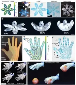 哈佛大学研究团队利用旋转多材料3D打印技术，通过单次打印实现无需组装的软体机器人制造。该技术可精确控制内部通道结构，充气即可实现扭转、卷曲等可编程动作，为医疗、工业领域提供高效定制化解决方案。