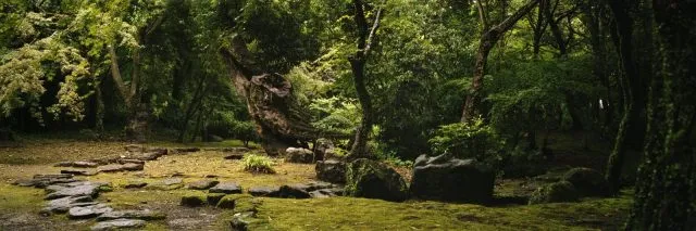 6dd4b4dacd7660e385.webp