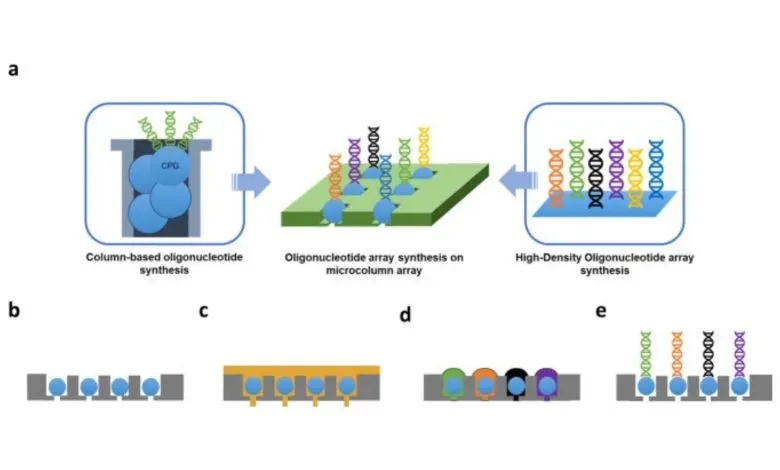 延世大学团队开发出3D打印微柱阵列基底，可在3D空间内结合CPG珠实现高通量寡核苷酸合成，产量较平面阵列提升3–6个数量级，兼具高准确性与成本效益，有望推动基因文库构建、合成生物学等领域的进步。