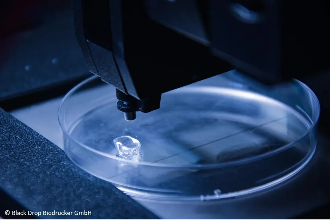 胶原蛋白及明胶制造商GELITA携手生物科技公司Black Drop，合作开发生物医学领域专用的生物墨水，包括三维组织模型及植入物。此次合作结合了胶原蛋白生产商的材料科学专业技术，以及Black Drop在定制化生物3D打印系统方面的实践经验。