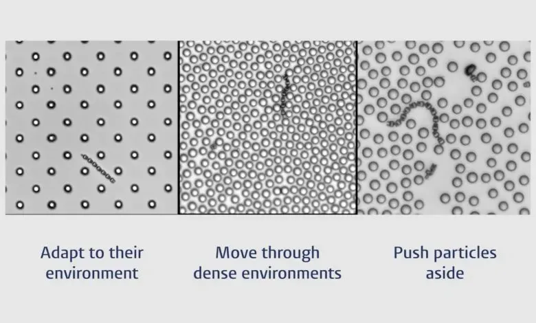 荷兰莱顿大学团队利用微纳3D打印技术，开发出仅5微米尺寸的柔性链状微型机器人。其通过自身形状与环境的动态交互，实现每秒约7微米的自主避障与路径调整，无需传感器或外部控制。这项具备“物理智能”的技术有望应用于靶向药物递送与微创手术领域。
