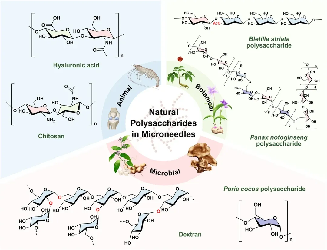 研究人员综述了基于多糖的微针在癌症免疫疗法中的应用，探究增材制造方法（包括3D打印）如何支持透皮给药系统的开发。这项发表于《糖科学与治疗学》的研究重点关注天然高分子材料在实现药物递送与免疫系统激活相结合的微创治疗方法中所发挥的作用。