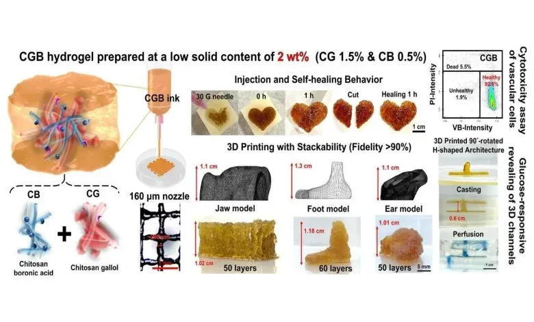 台大团队研发出新型自愈合壳聚糖水凝胶墨水，可在低固含量下稳定堆叠60层，具备葡萄糖响应性和抗菌功能，支持微流控结构打印及细胞高存活率，为生物制造提供活性平台。