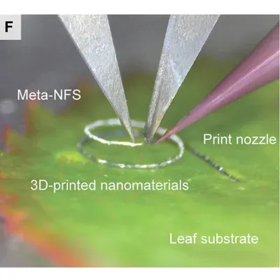 新型Meta-NFS方法可实现针对性加热打印物料，避免对周边材料造成损伤，从而拓展了在生物聚合物与活体组织领域的制造适用范围。