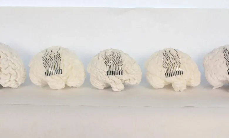 宾州州立大学团队利用患者MRI数据，通过有限元分析建模并采用直写成型3D打印技术，制备出仿蜂巢结构的水凝胶柔性电极。该电极可高度贴合个体大脑曲面，在动物实验中展现良好生物相容性与稳定电信号性能，为个性化神经接口的临床转化提供新路径。