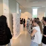 6dd518a2e82538ba56.webp