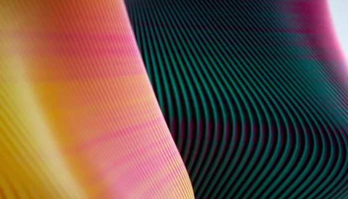 6dd51f081e45e74565.webp