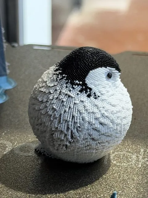 6dd53c385ca93c7b76.webp