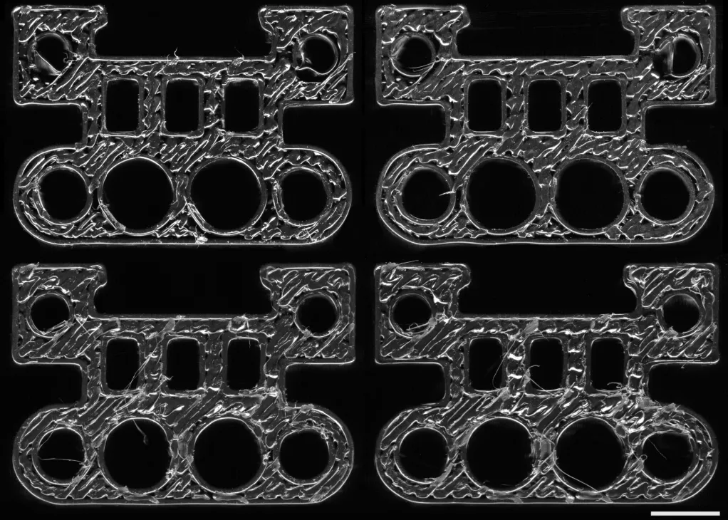 6dd5689d9d83287750.webp