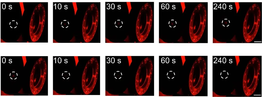 波兰和意大利的研究人员开发了用于光固化3D打印的光响应材料，使3D打印部件能够动态改变激光束的强度和偏振。