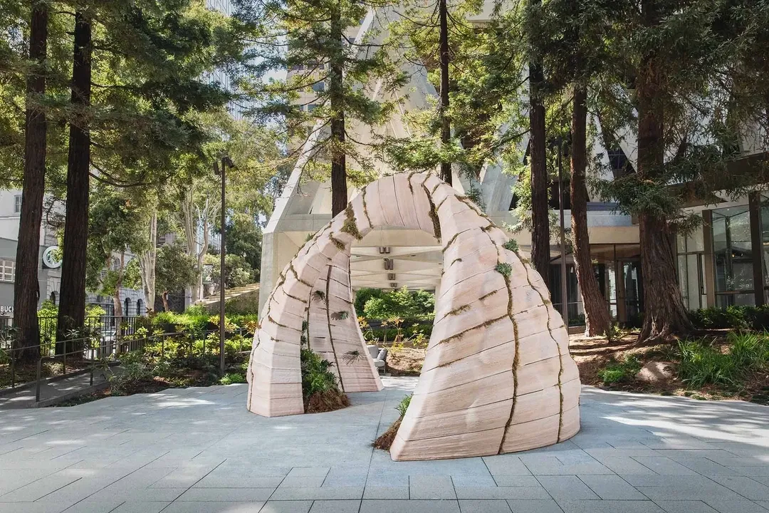 植物艺术家Lily Kwong创作了Earthseed Dome，一个位于旧金山泛美红木公园内的场地响应式3D打印结构，由旧金山当代艺术学院（ICA SF）呈现。