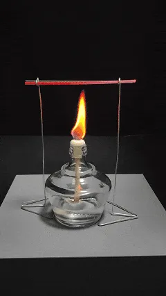 695b39a5d4df5.gif