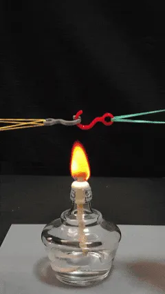 695b39ad5094c.gif