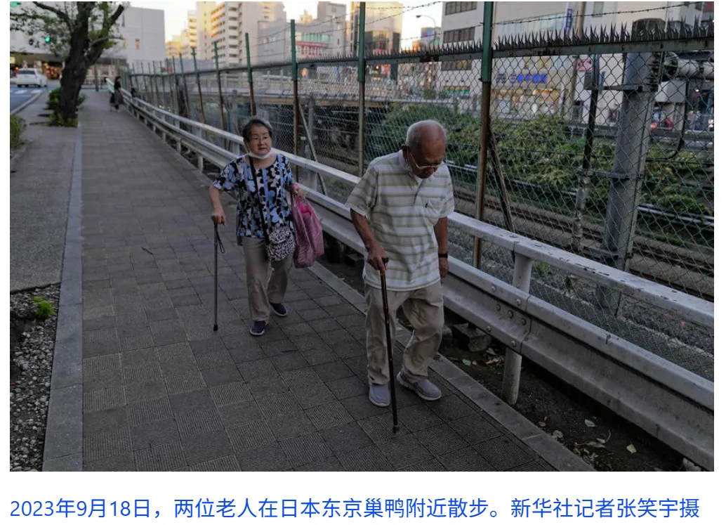 6973516b125c7.webp