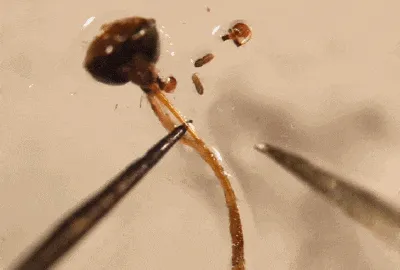 697ffda46d78c.gif