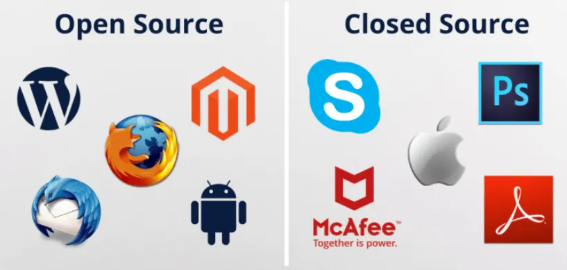 69836f717b28c.webp