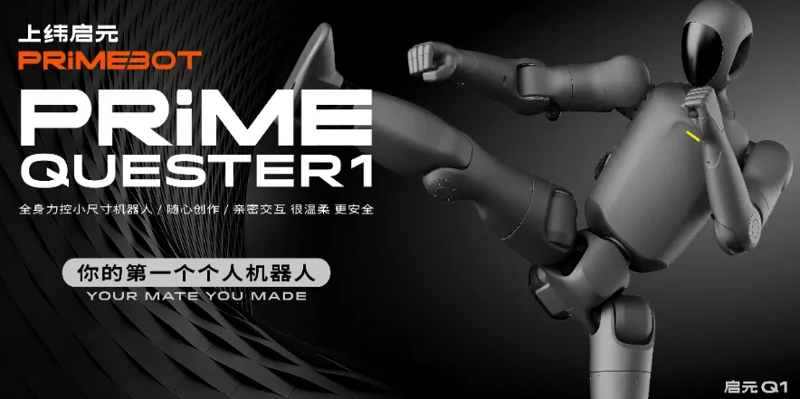 699d115fb47cc.webp