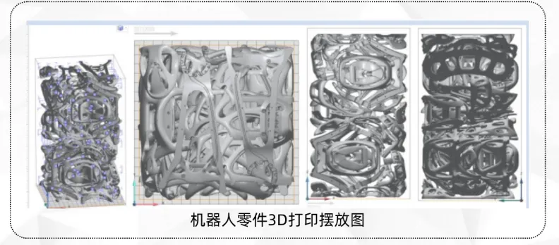 699d1160c342a.webp