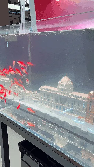 69bd21198c0af.gif