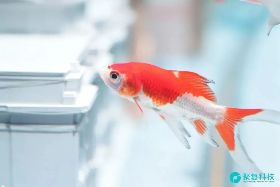 在工业气息浓厚的TCT Asia展会上，Polymaker以一缸3D打印水景造景传递其品牌理念——专注FDM线材研发十四年。新品覆盖多色工程材料与生物安全PLA，兼顾耐候强度与设计美学，展现从工程师到创作者的用户洞察。在行业追逐低价普及的浪潮中，它坚持用材料创新为专业应用提供深度价值。