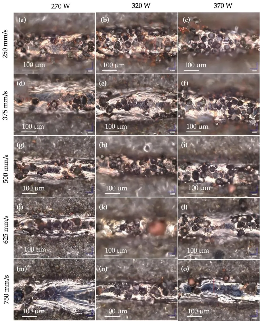 69eeff8824640.webp