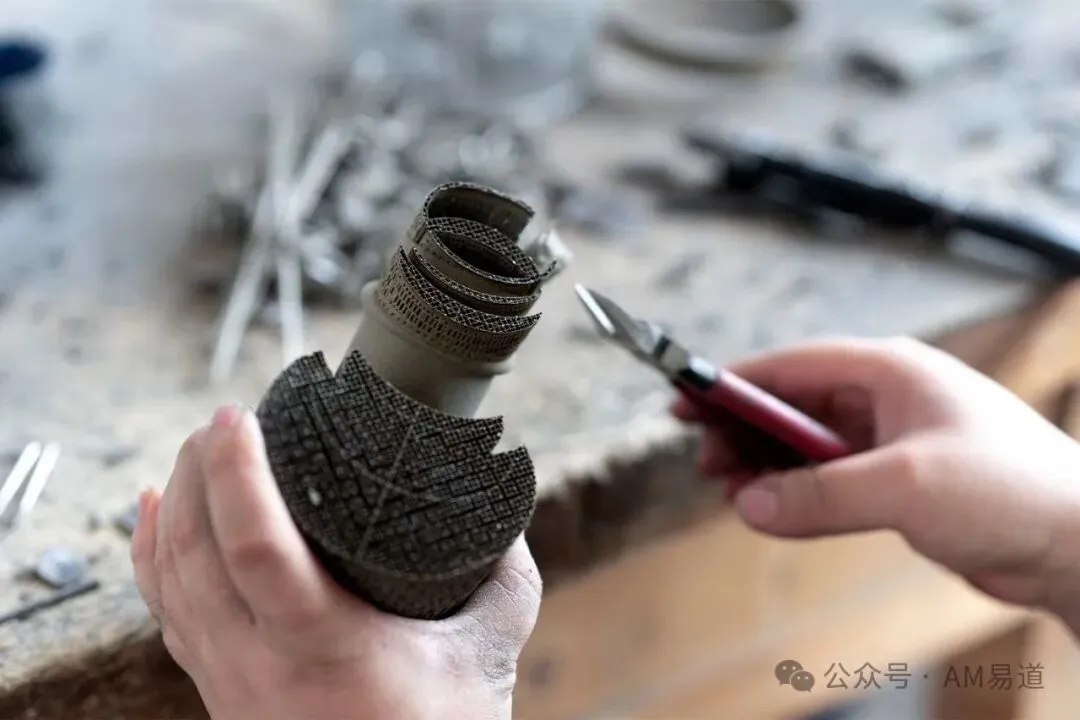 6a50ce3fe163e.webp