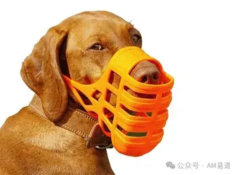 6ad2074fd794d.webp?auth_key=1792151128-90407-0-9c6349515f4772643f8631fd62f8a69f