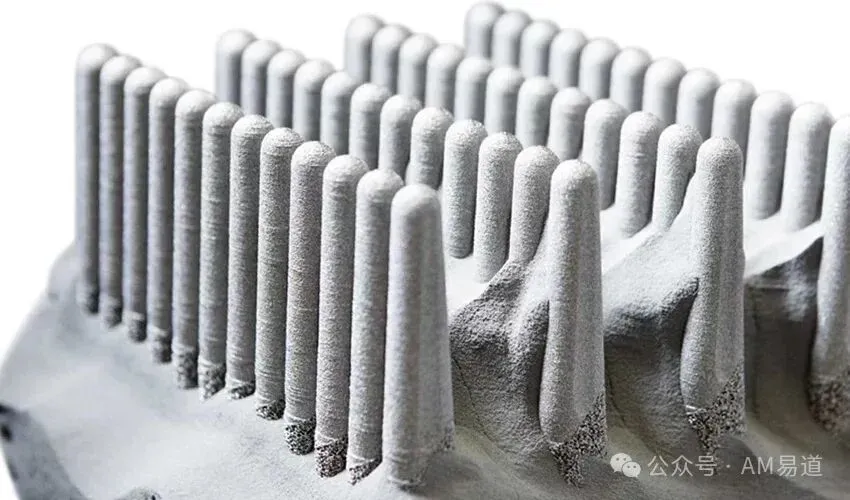 6ad2498f221f0.webp?auth_key=1792168087-493852-0-1fb8fea4f4c40bbcf00d3c5d1677304d