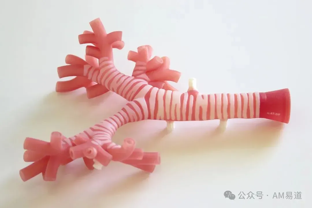 新西兰团队开发出高仿真3D打印气管训练模型，采用多材料PolyJet技术，模拟出血、狭窄等动态病理状态，为医生提供逼真手术训练体验。该技术有望拓展至多器官模拟，推动医疗培训模式变革，市场前景广阔。