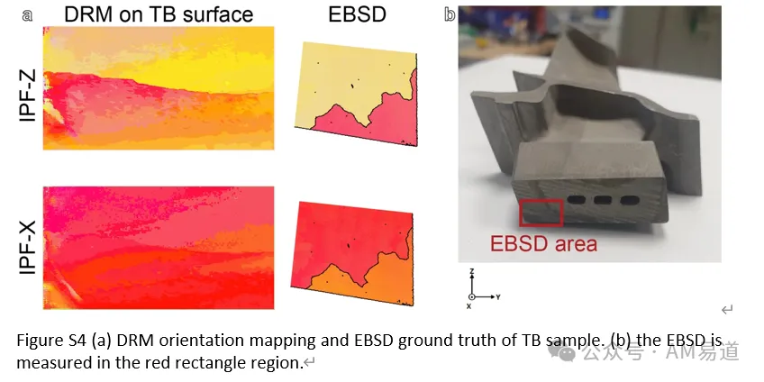 6ad6442c639e7.webp?auth_key=1792428852-894589-0-cc503f36814540ce807414a6c88cbdf0