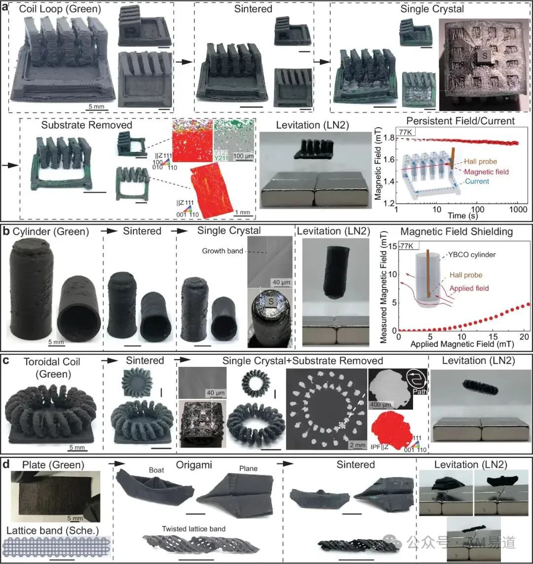 6ad8f0583a7b8.webp