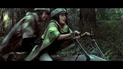 6ad8f83ec139e.gif
