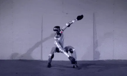 6ad9164065d9f.gif