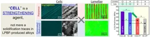 大阪大学团队用选择性消除法量化LPBF IN718组织贡献：纳米胞状结构提升屈服强度38%—42%，层状结构仅约2%，且二者具协同效应；新扫描策略可消除层状组织并稳定获得强织构，胞状组织宜作为主动强化要素设计。