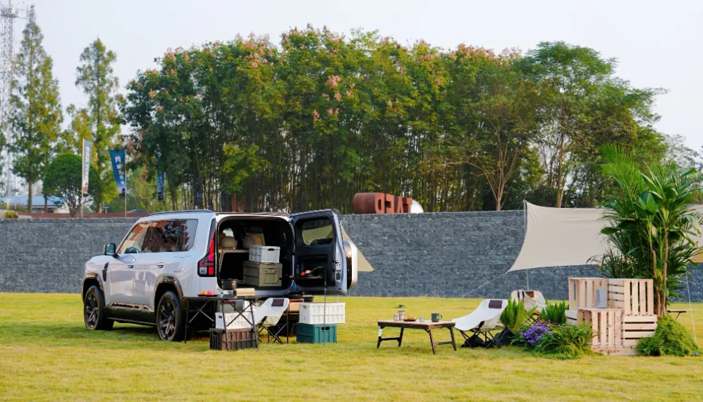 6ae16451dc11d.webp?auth_key=1793157978-87816-0-b79351d997dfa06e3d64e66d8a113b24