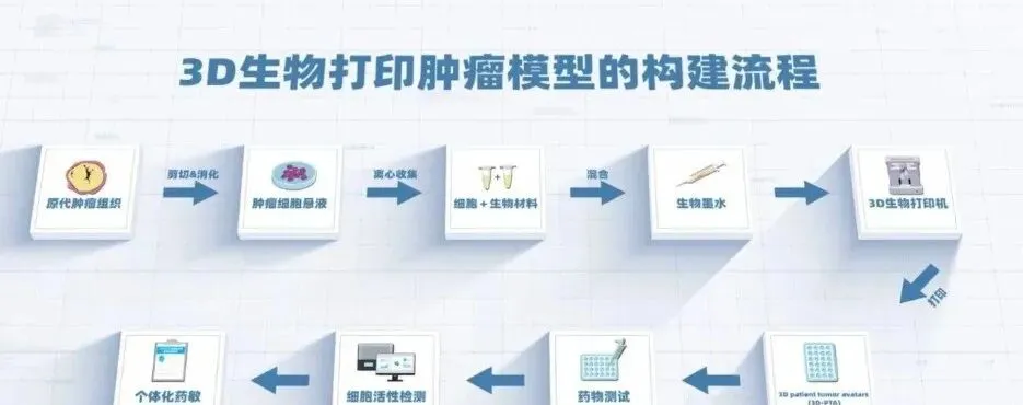 6ae1645b8272c.webp?auth_key=1793157987-479542-0-831aade41d9b40314378809630deeb19