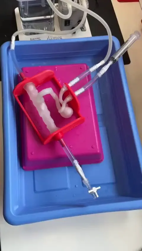 视频展示3D打印血管模拟器。